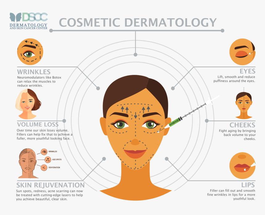 Plastic Surgery Infographic, HD Png Download, Free Download