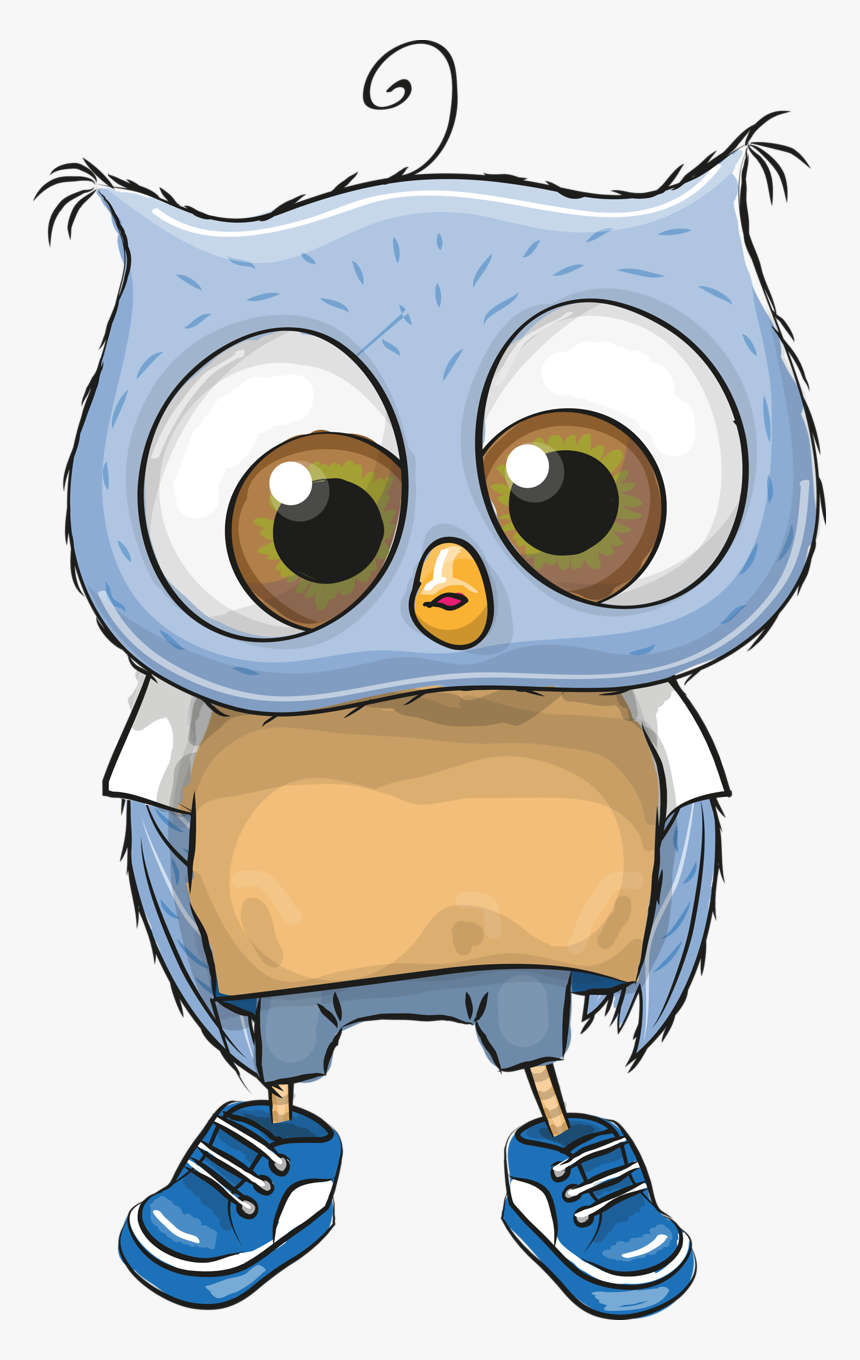 Groom Clipart Ball Chain - Cute Cartoon Owl Boy, HD Png Download, Free Download