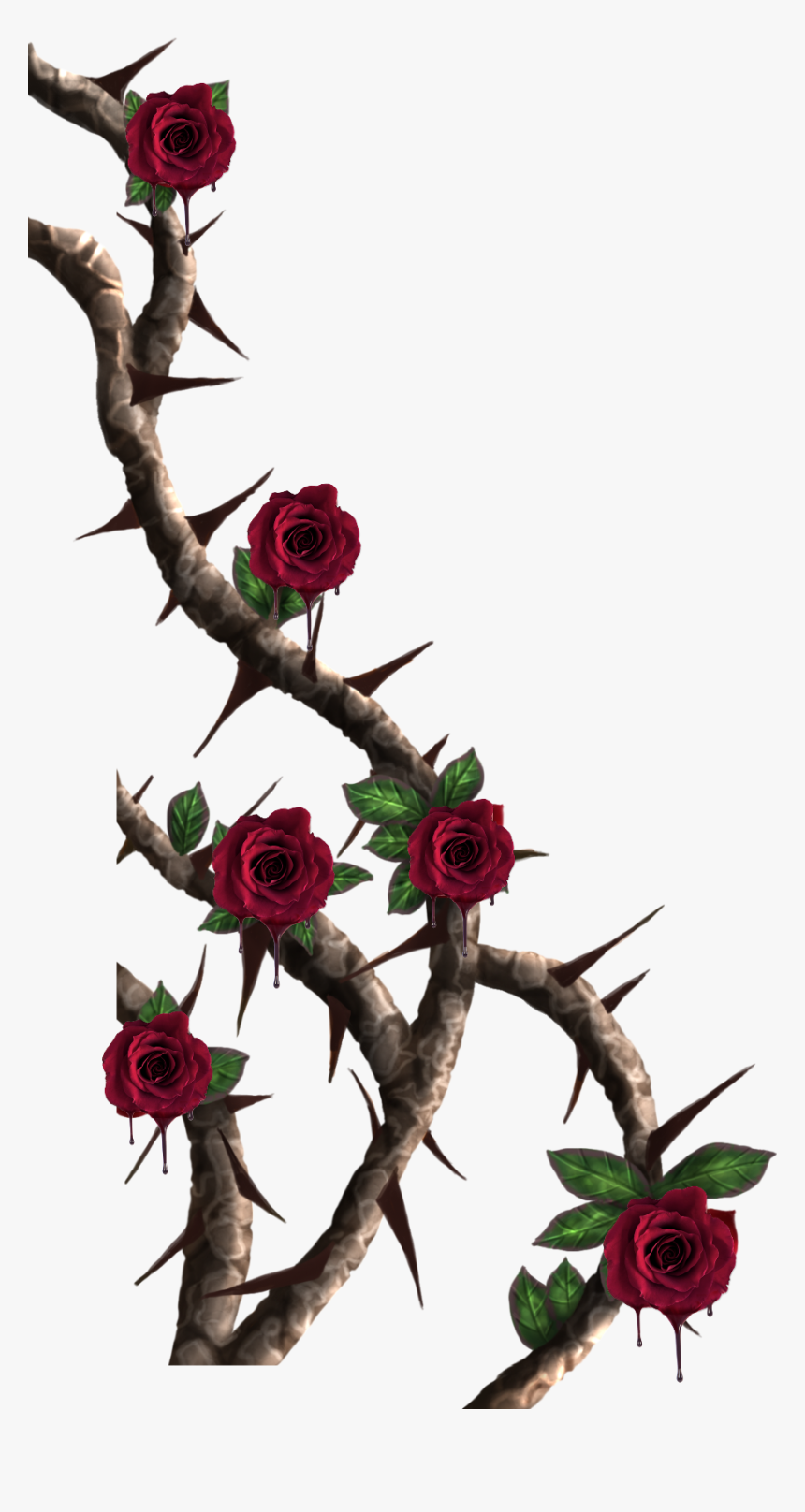 Rose Vine Png, Transparent Png, Free Download