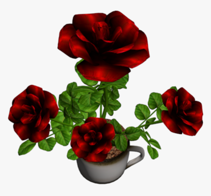 Hybrid Tea Rose, HD Png Download, Free Download