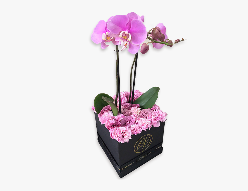 Caja De Rosas Lila Con Orquídea - Cajas De Rosas En Orquidea, HD Png Download, Free Download