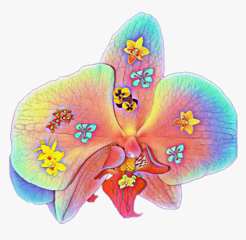 #flores #flower #orquideas - Cattleya, HD Png Download, Free Download