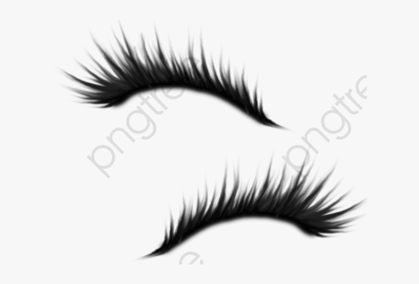 Amy Eyelash Beautiful Pretty - Eyelashes Clipart Free Png, Transparent Png, Free Download