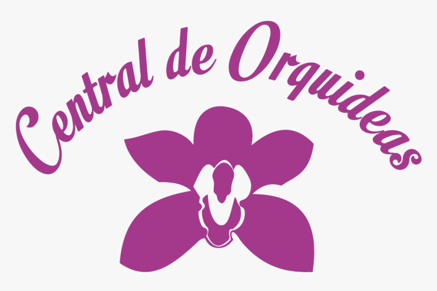 Orchids Of The Philippines, HD Png Download, Free Download