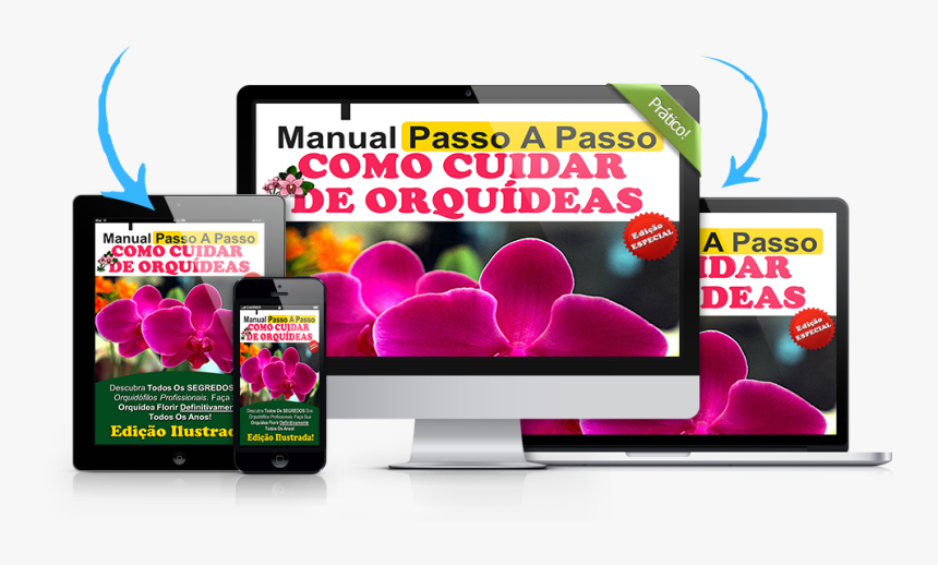 Manual Passo A Passo De Como Cuidar De Orquideas - Orquideas, HD Png Download, Free Download
