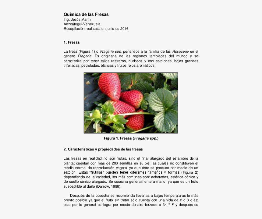 Planta De La Fresa, HD Png Download, Free Download