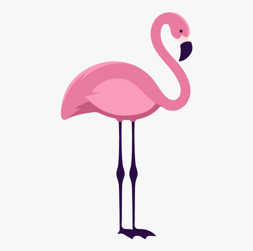 Mi Flamenco Rosa - Flamingo Adesivo, HD Png Download, Free Download