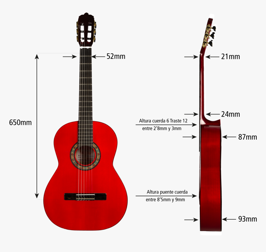 Mg 7065 Editar - Guitar Aria A 20, HD Png Download, Free Download