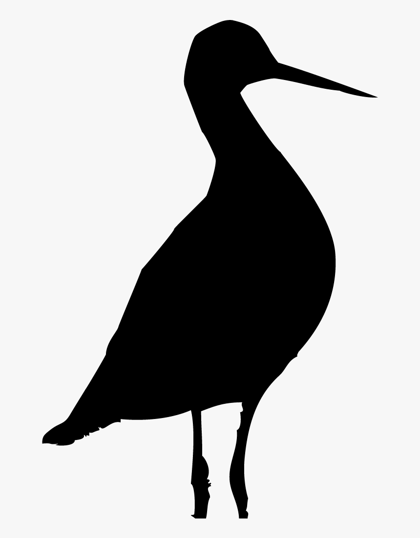 Shorebird Silhouette, HD Png Download, Free Download