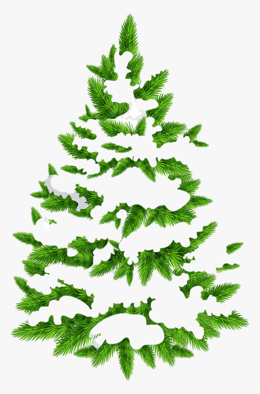 Christmas Pine Tree Png Hd - Pine Tree Clipart Transparent, Png Download, Free Download