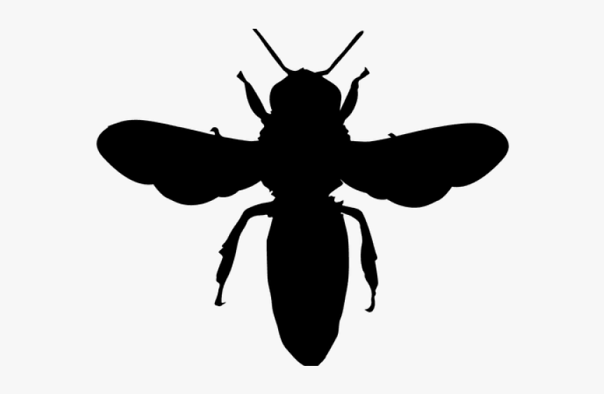 European Dark Bee Portable Network Graphics Vector - Png Silhouette Vector Bee Vector, Transparent Png, Free Download