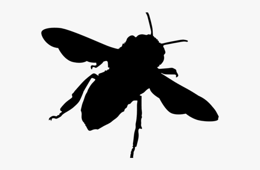 Bee Silhouette - Bee Silhouette Png, Transparent Png, Free Download