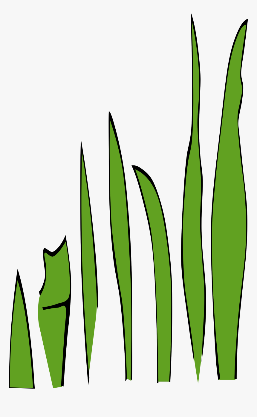 Transparent Grass Blade Png - Grass Clip Art, Png Download, Free Download