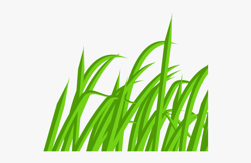 Rumput Cartoon, HD Png Download, Free Download