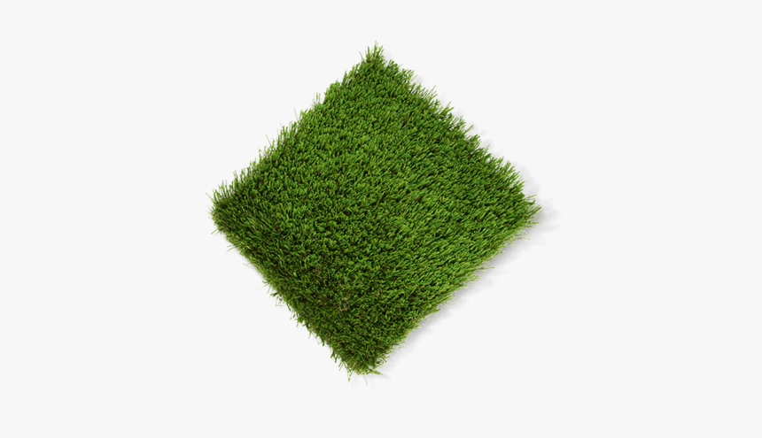 Lawn, HD Png Download, Free Download