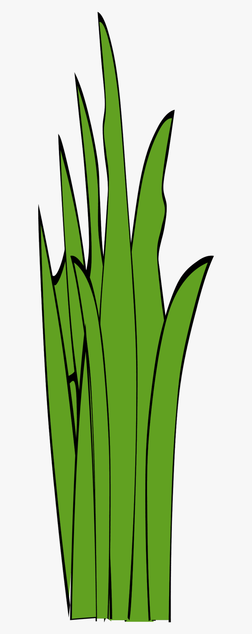 Grass Blades And Clumps - Long Grass Clipart, HD Png Download, Free Download