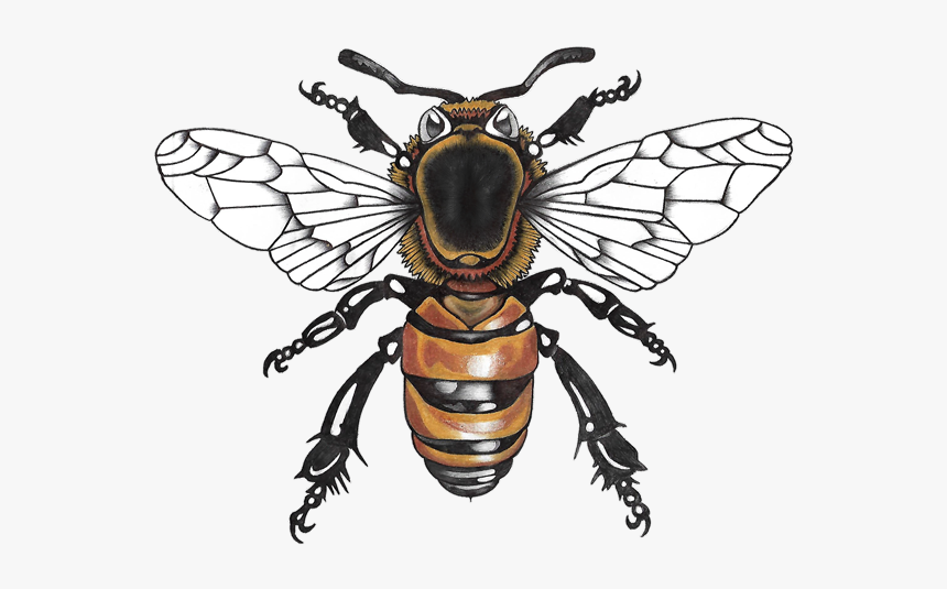 Honeybee, HD Png Download, Free Download