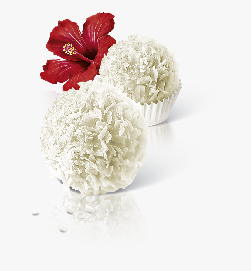 Raffaello Flower, HD Png Download, Free Download