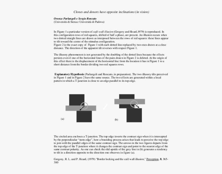 Document, HD Png Download, Free Download