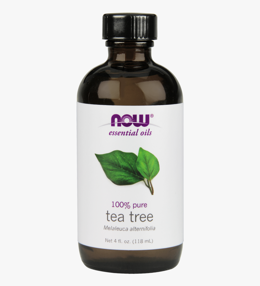 Transparent Tea Tree Png - Now Tea Tree Oil, Png Download, Free Download