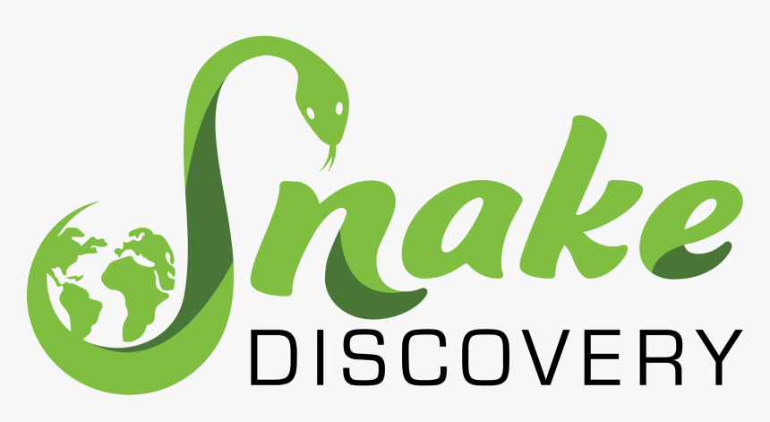 Snake Discovery Logo, HD Png Download, Free Download