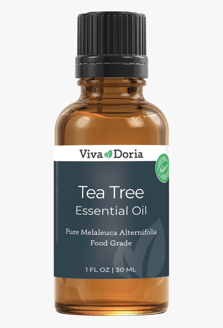 Transparent Tea Tree Png - Tea Tree Oil, Png Download, Free Download