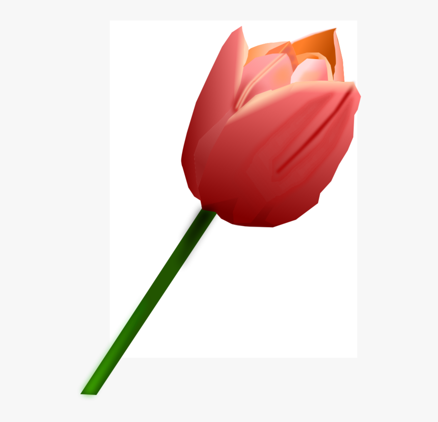 Plant,flower,petal - Tulipan Rosa Png, Transparent Png, Free Download
