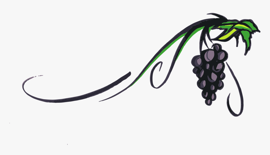 Transparent Grape Vine Png, Png Download, Free Download