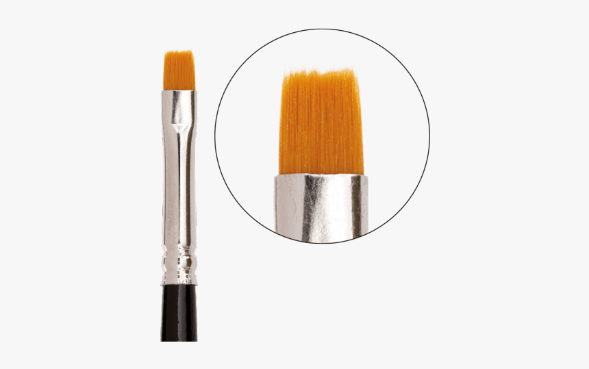 Makeup Brushes, HD Png Download, Free Download