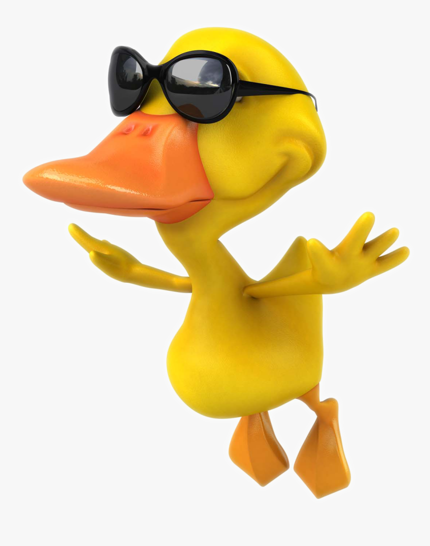 Pictures Photography Mallard Duck Cartoon Stock Clipart - Flying Duck With Sunglasses, HD Png Download, Free Download