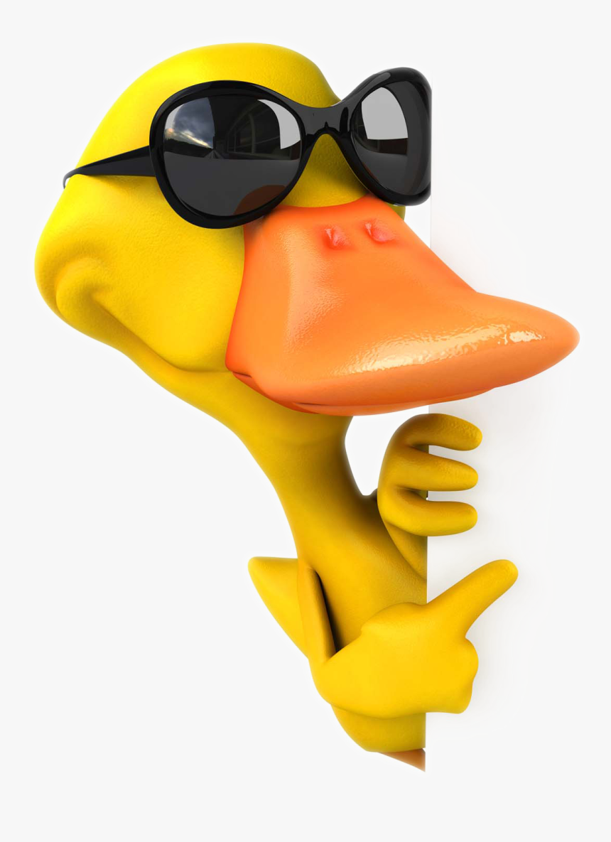 Pictures Illustration American Pekin Duck Cartoon Stock - Duck With Sunglasses Clipart, HD Png Download, Free Download