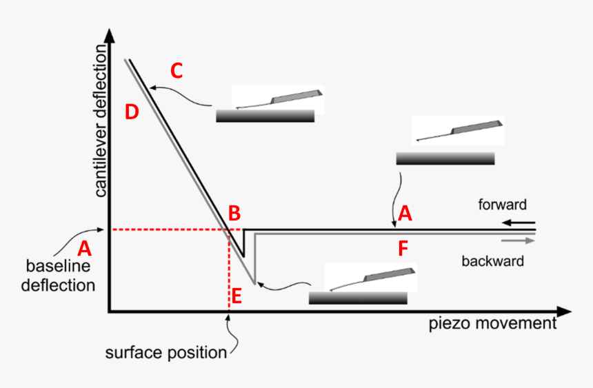 Afm Force Spectroscopy, HD Png Download, Free Download