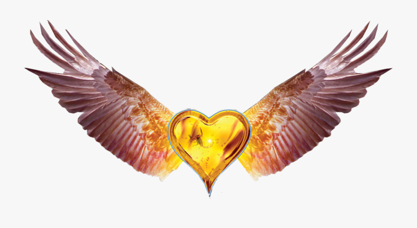 Heart With Wings Black Background, HD Png Download, Free Download