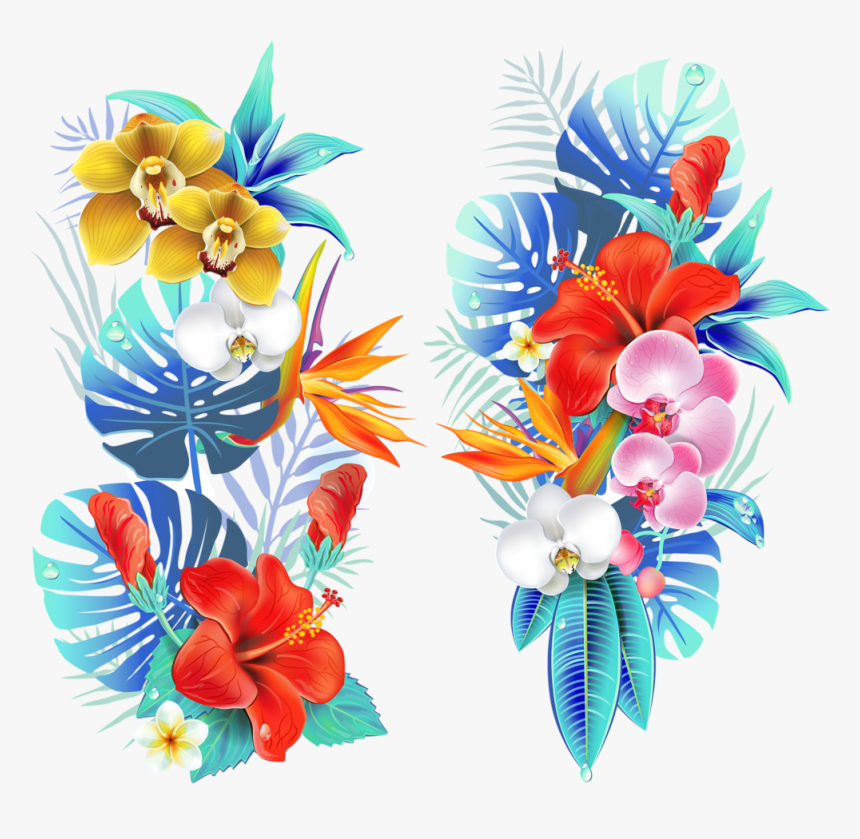 Tropical-3652557 1920, HD Png Download, Free Download