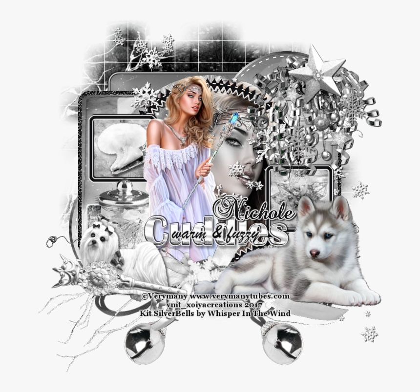 Silver Bells By Whisper In The Wind - Miniature Siberian Husky, HD Png Download, Free Download