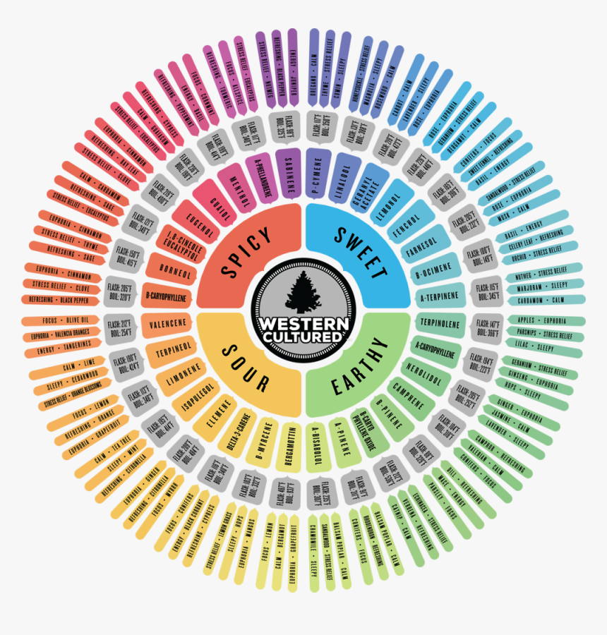 Terp Wheel 2019 Web - Vision Creation Newsun Ep, HD Png Download, Free Download