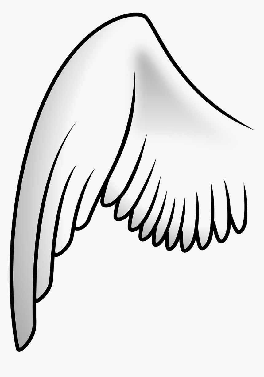 Asa De Anjo Desenho Png - Clipart Wing, Transparent Png, Free Download