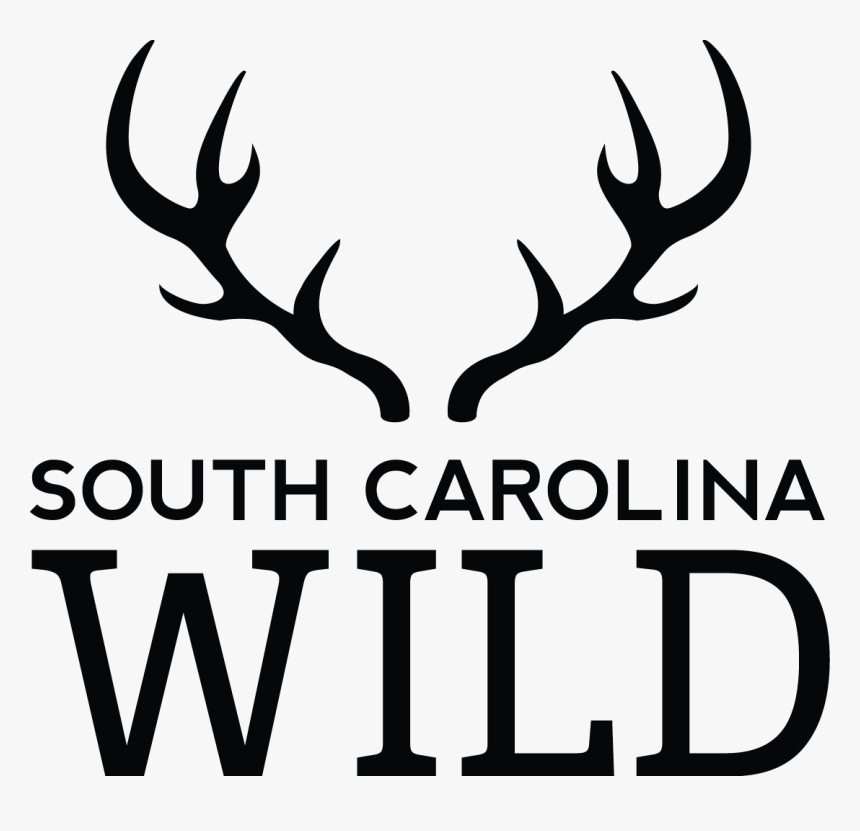 South Carolina Department Of Natural Resources Deer - South East Europe Programme, HD Png Download, Free Download