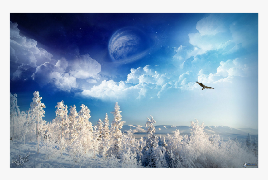 #snow #winter #background - Hawk In A Landscape, HD Png Download, Free Download