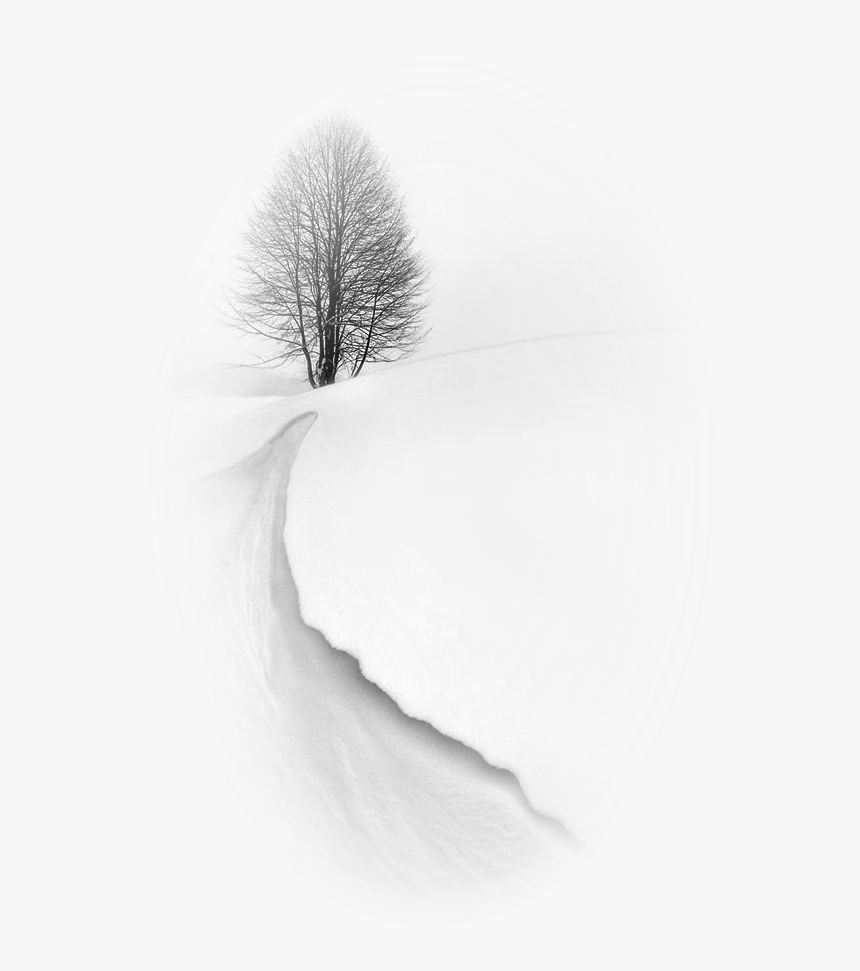 Transparent Snow Background Png - Monochrome, Png Download, Free Download