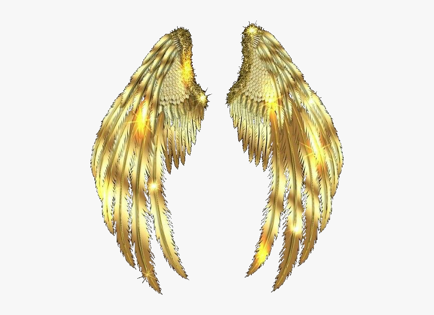 #wings #asas #gold #golden #ouro #dourada @lucianoballack - Gold Wings Transparent, HD Png Download, Free Download