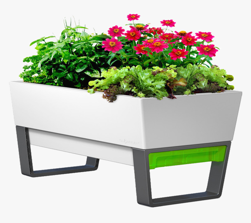 Flower Box Png , Png Download - Self Water Planter, Transparent Png, Free Download