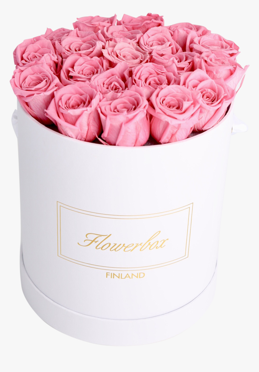 Garden Roses, HD Png Download, Free Download