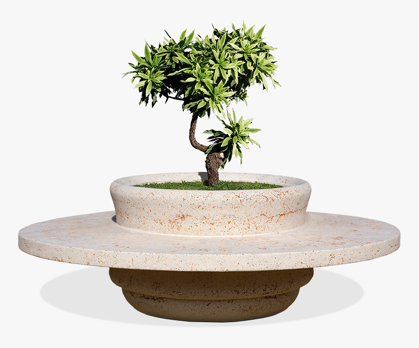 Planter With Bench Giza Model Made In Cls - Bonsai, HD Png Download, Free Download