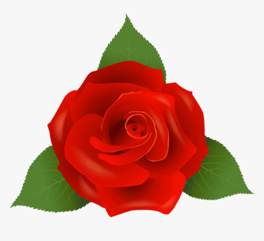 Free Png Red Rose Png Images Transparent - Garden Roses, Png Download, Free Download