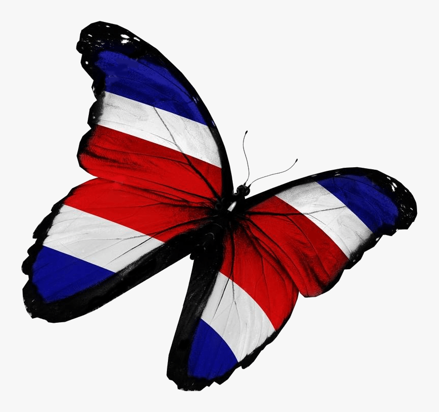 Felices Fiestas Patrias - Mariposa Bandera Costa Rica, HD Png Download, Free Download