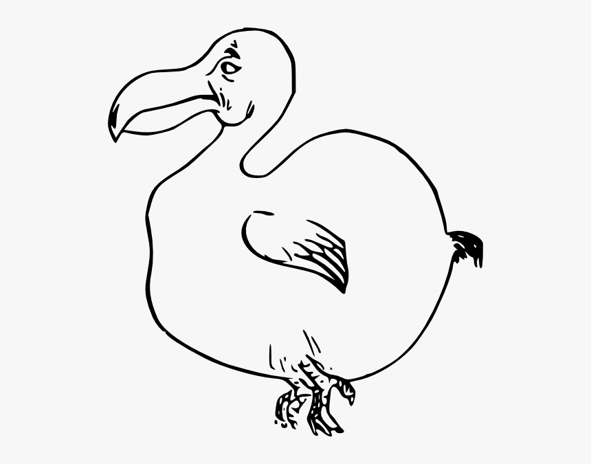 Dodo Bird Svg Clip Arts - Extinct Animals Easy Drawing, HD Png Download, Free Download