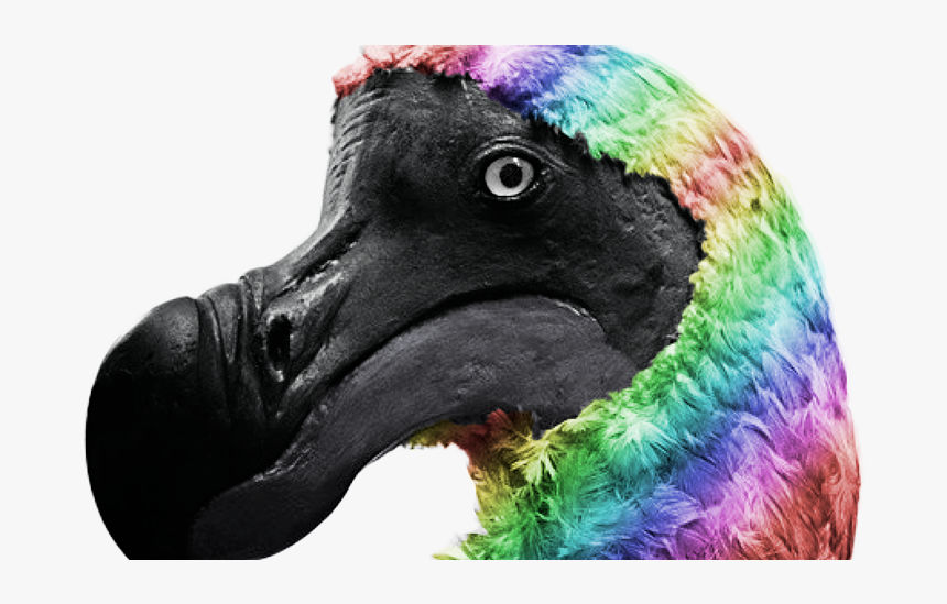 Transparent Dodo Clipart - Gay Dodo, HD Png Download, Free Download