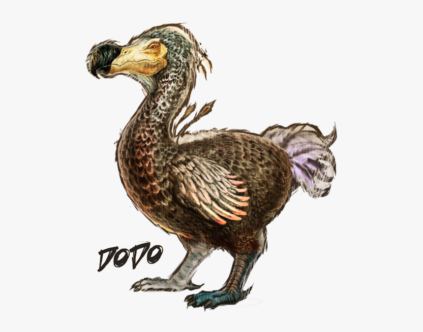 Png Dodo Pluspng - Ark Survival Evolved Dodo Png, Transparent Png, Free Download