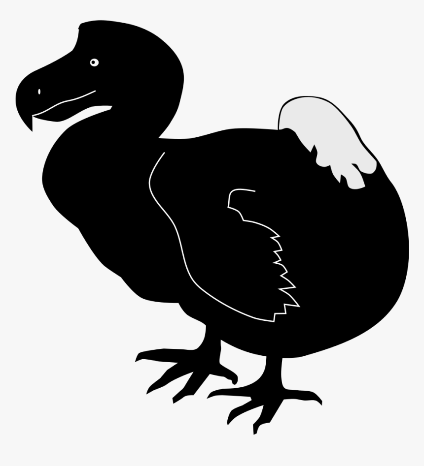 Dodo Bird Infographic, HD Png Download, Free Download